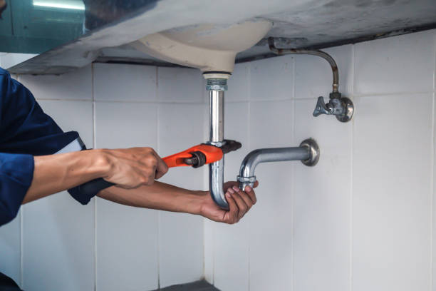 Best Local Plumber Services  in Mount Pocono, PA